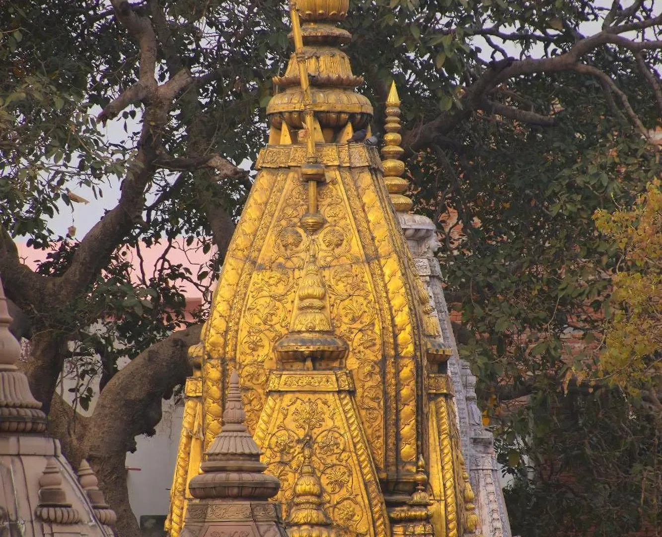 Hotel Sahu Near Kashi Vishwanath Temple Gate Varanasi